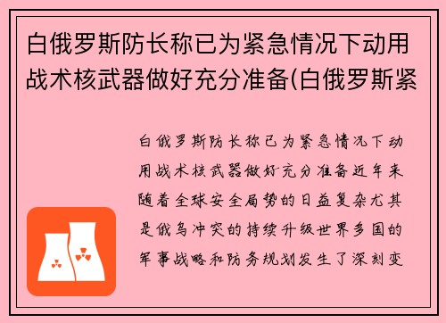 白俄罗斯防长称已为紧急情况下动用战术核武器做好充分准备(白俄罗斯紧张局势)