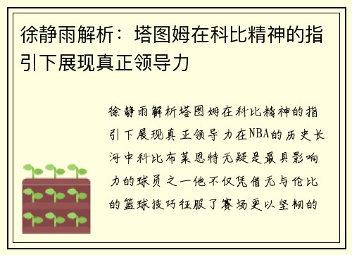 徐静雨解析：塔图姆在科比精神的指引下展现真正领导力